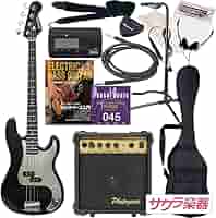 SELDER ミラーピックガード マッチングヘッドBK エレキギター ケース付 SELDER ミラーピックガード マッチングヘッドBK エレキギター